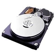 2.el IBM 2GB FC 300GB 10K E-DDM ürün resmi